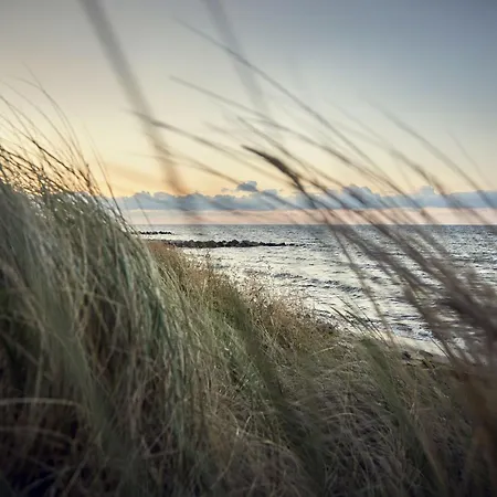 بيت للعطل White I